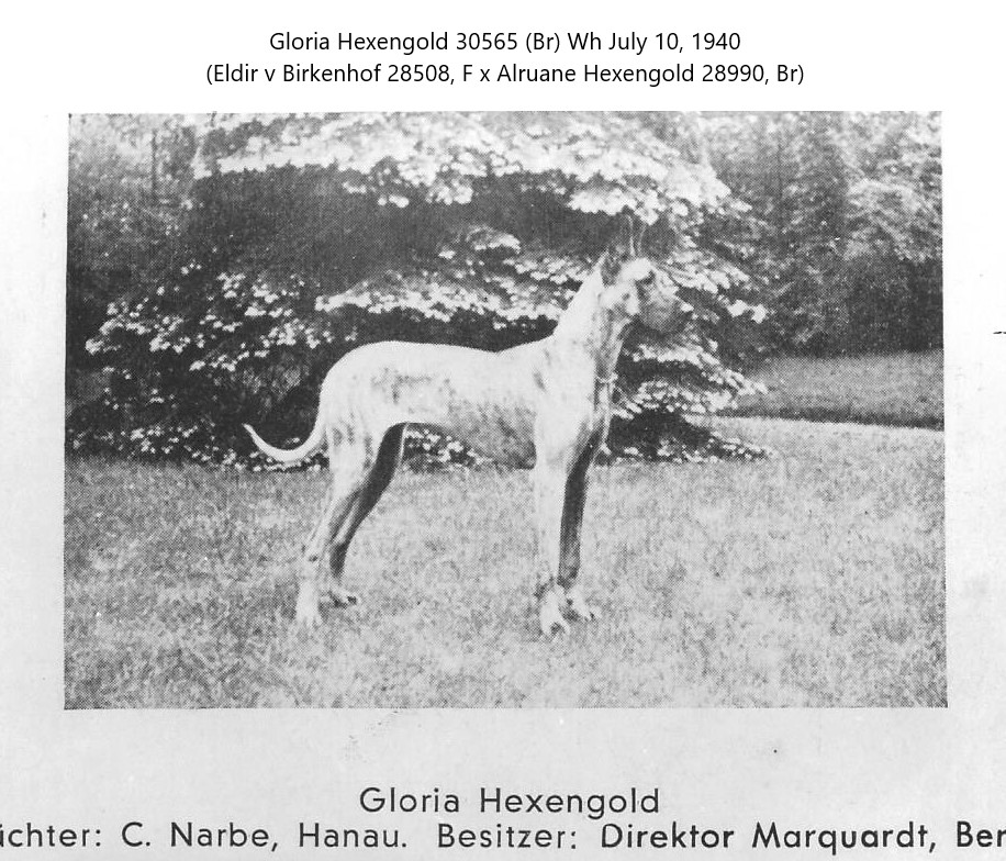 Gloria Hexengold